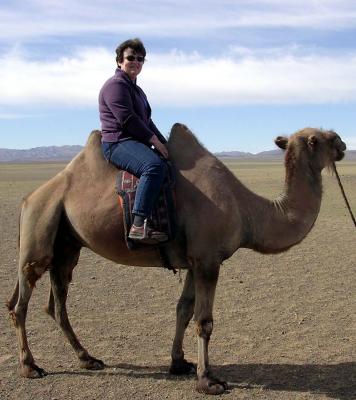 AnnCamel