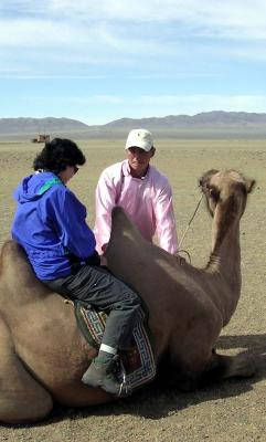 AnneHCamel