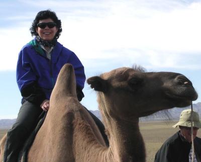AnneHCamel