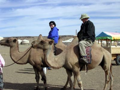 CamelAnne