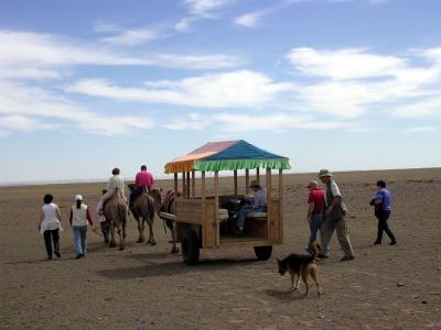 CamelCaravan
