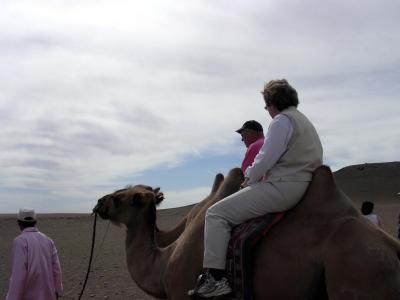 CamelKathyPaul