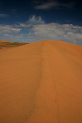 DuneScenery2.jpg