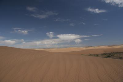 DuneScenery4.jpg