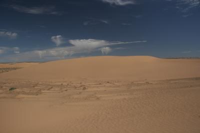 DuneScenery5.jpg