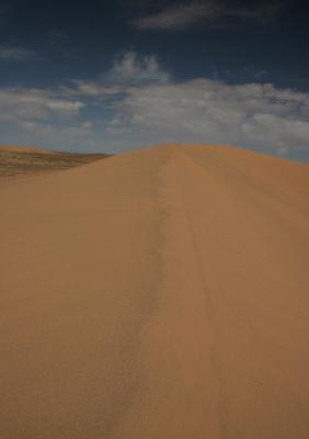 duneScenery3.jpg