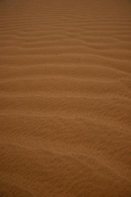 SandTexture.jpg