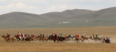 Day 11 Back to Ulaanbaatar