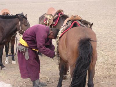 horsebackriding