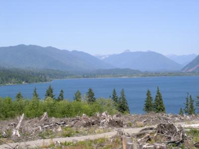 Lake Quinault, WA