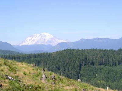 Mt. Rainier in the distance