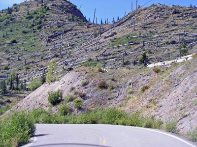 The devastation from Mt. St. Helens