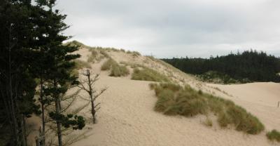 Oregon Dunes