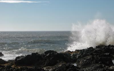 Devil's Elbow State Beach, OR