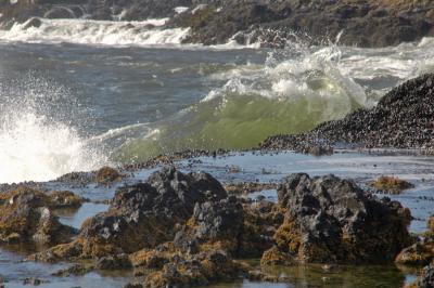 Devil's Elbow State Beach, OR