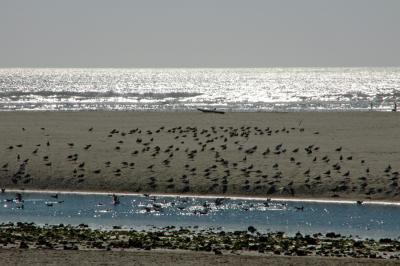 Cannon Beach, OR