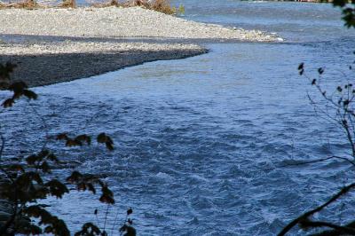 Hoh River, WA