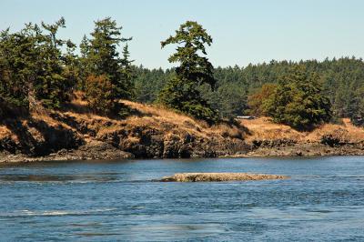 San Juan Islands, WA