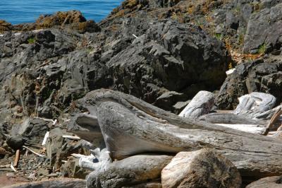 San Juan Island, WA