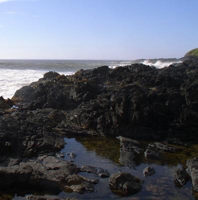 Devil's Elbow State Beach, OR