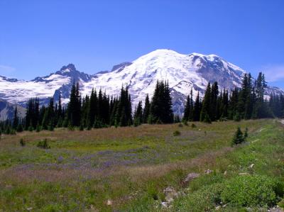 Mt. Rainier, WA