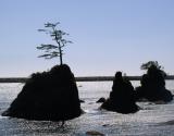 Sea Stacks on the Oregon Coast