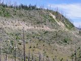 The devastation from Mt. St. Helens