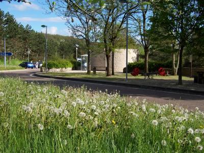 Roadside Rest Area