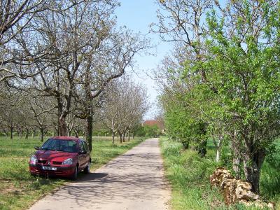 a back road near Chateau de Castelnau