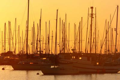 Oak Bay Marina