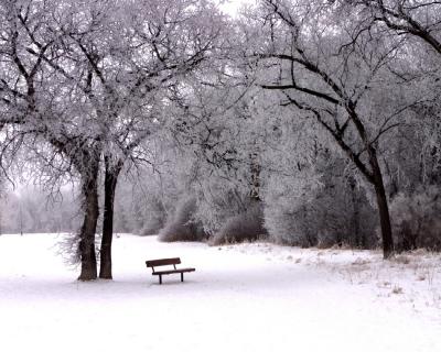 Frosty Bench