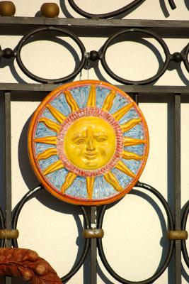 sole