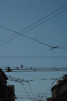 DSC_1217.JPG