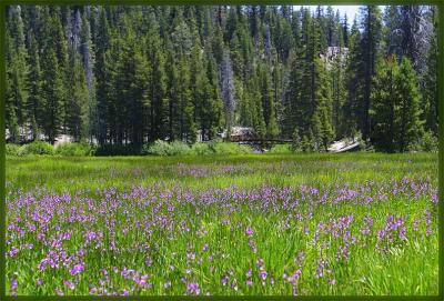 Red's Meadow - Mammoth Lakes