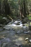 The Big Sur River