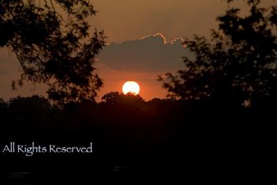 Sunset Tupelo 8.18.05.jpg