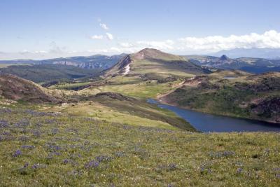 Beartooth Pass