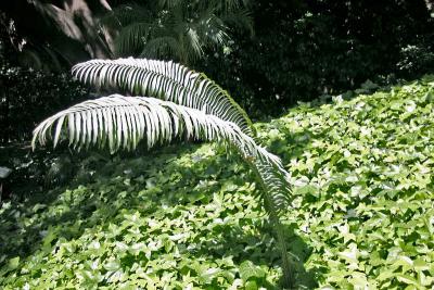 122_2227.jpg