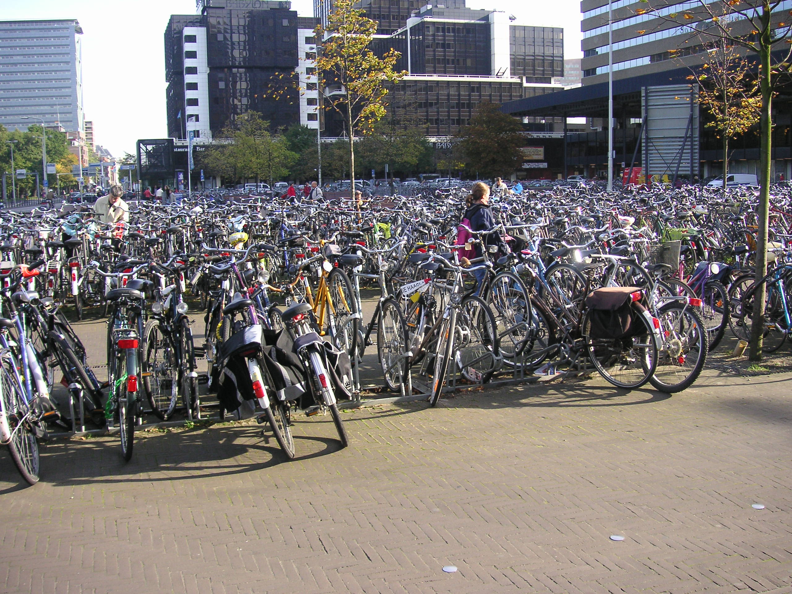 PICT0007.JPG