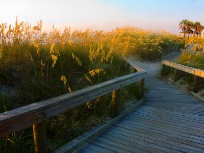 Boardwalk & Sea Oats