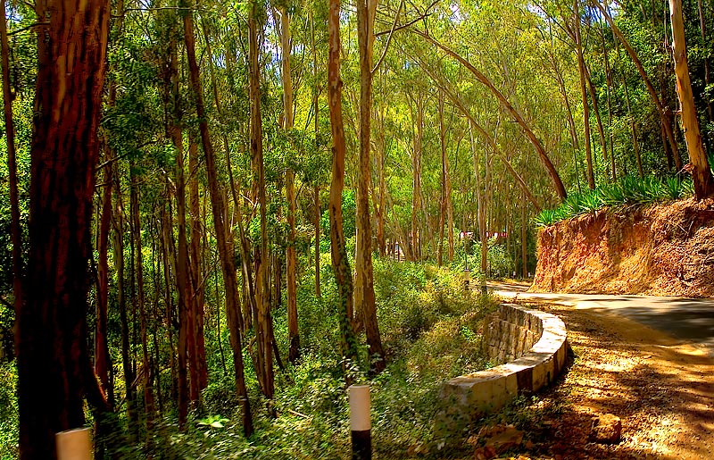 Winding Road