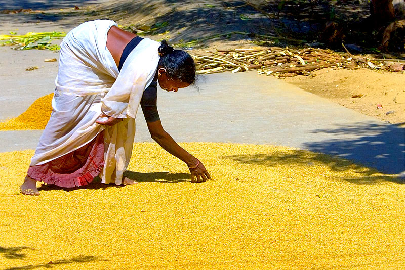 The gold of Tamil Nadu