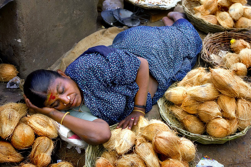 Coconuts are real sellers ....