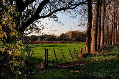 Nature reserve