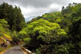 Kodai Road