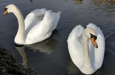 Img0211.jpg
