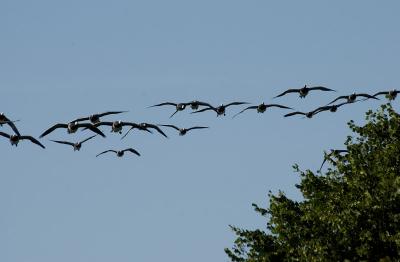 DSC_1979.jpg