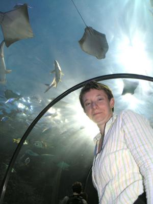 v3/05/388005/3/46091631.AudubonAquarium01.jpg
