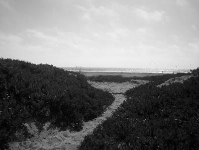 trail in dunes and morro rock