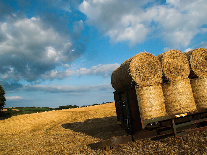hay harvesting - ballycotton co. cork